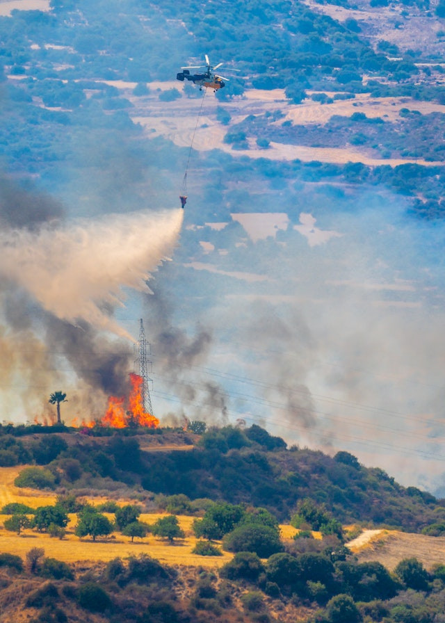 Macro-Managing As a Newly Promoted Fire Company Officer & 5 Easy Ways To Accomplish It