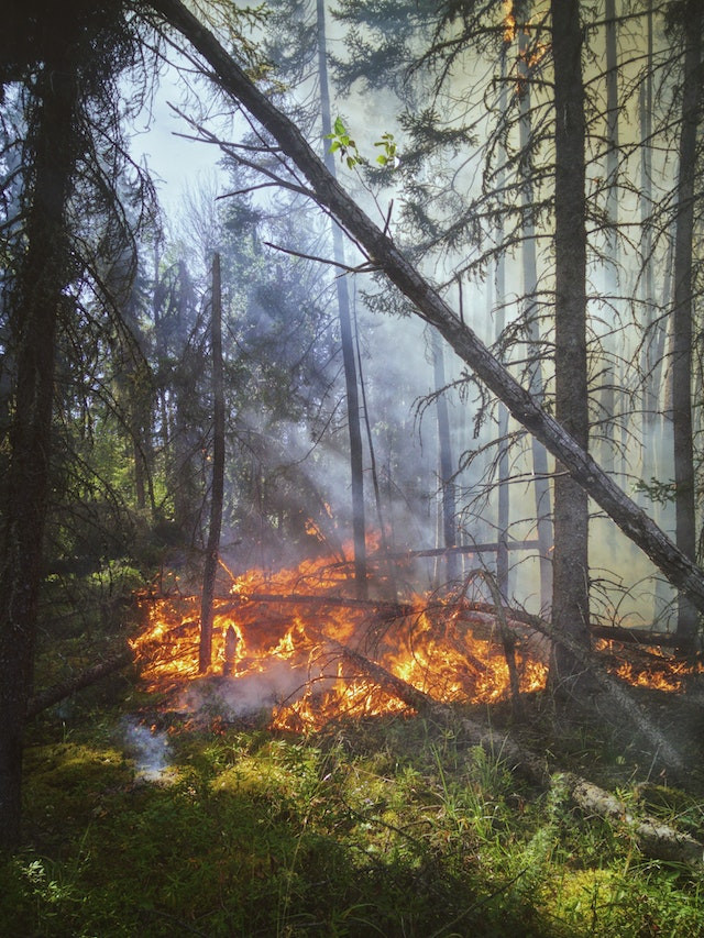 5 Reasons You Need to Start Studying Outdoors For Your Firefighter Promotional Exam